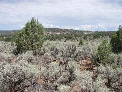 Riverfront Property in San Juan County, New Mexico