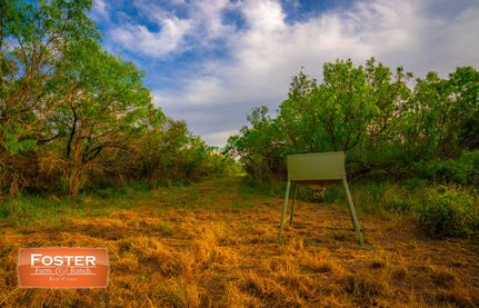 Farm and Ranch in Bee County, Texas