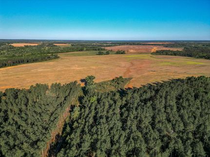 Farm and Ranch in Webster County, Georgia