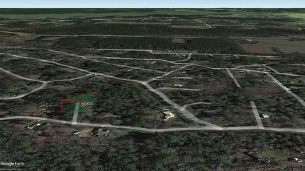 Undeveloped Land in Trinity County, Texas