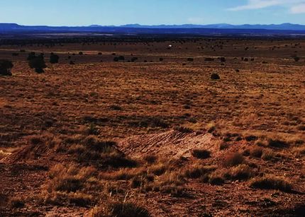 Undeveloped Land in Apache County, Arizona