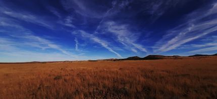 Farm and Ranch in Apache County, Arizona