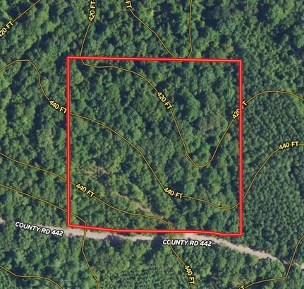 Timberland Property in Lafayette County, Mississippi