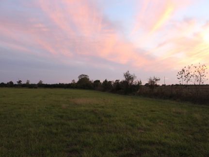 Undeveloped Land in Colorado County, Texas