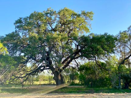Farm and Ranch in Atascosa County, Texas