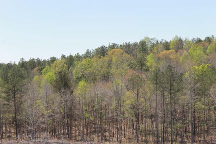 Land in Bibb County, Alabama