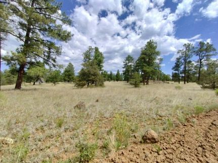 Recreational Property in Cibola County, New Mexico