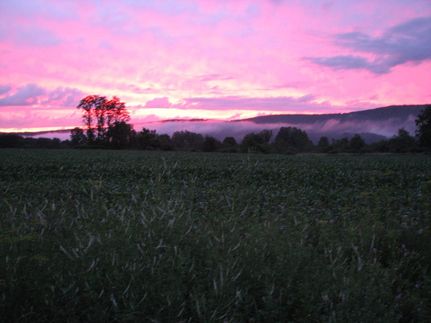 Undeveloped Land in Chenango County, New York