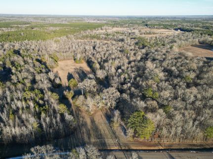 Timberland Property in Lowndes County, Mississippi
