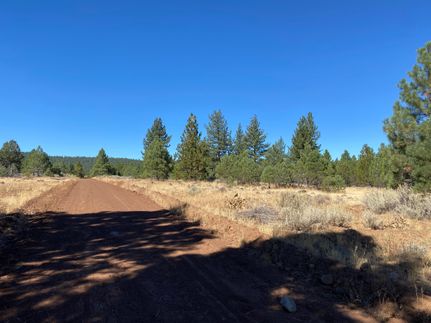 Undeveloped Land in Modoc County, California