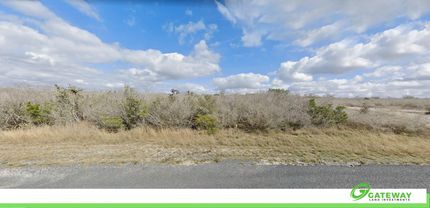 Undeveloped Land in Live Oak County, Texas