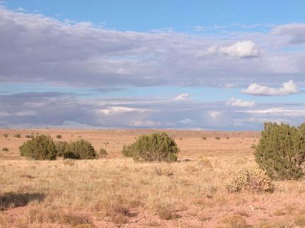 Riverfront Property in Navajo County, Arizona