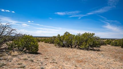 Farm and Ranch in Apache County, Arizona