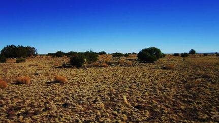 Farm and Ranch in Apache County, Arizona