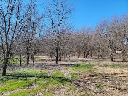 Undeveloped Land in Denton County, Texas
