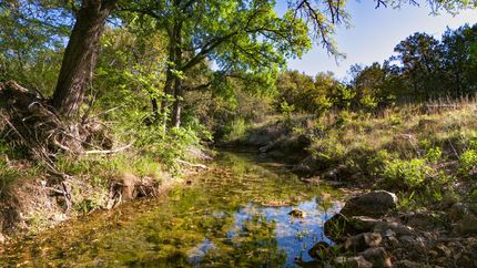 Recreational Property in Coryell County, Texas