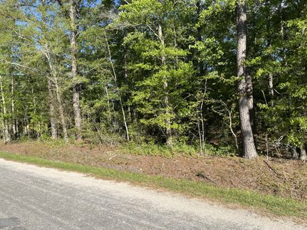Land for sale in Colleton County, South Carolina