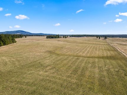 Undeveloped Land in Lewis County, Idaho