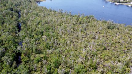 Undeveloped Land in Citrus County, Florida