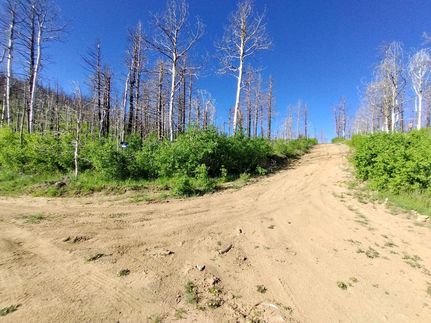 Undeveloped Land in Costilla County, Colorado