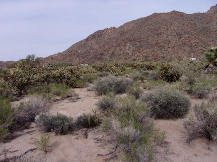 Undeveloped Land in Mohave County, Arizona