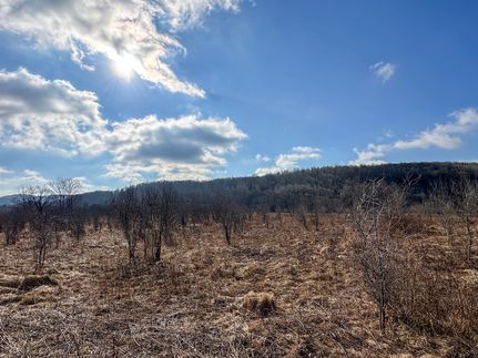 Farm and Ranch in Cattaraugus County, New York