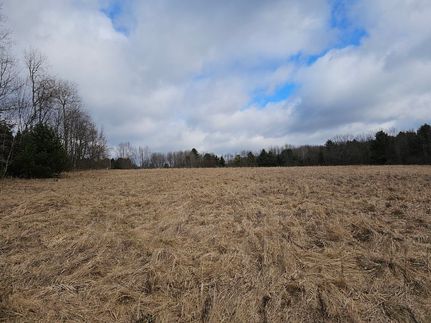 Undeveloped Land in Chenango County, New York
