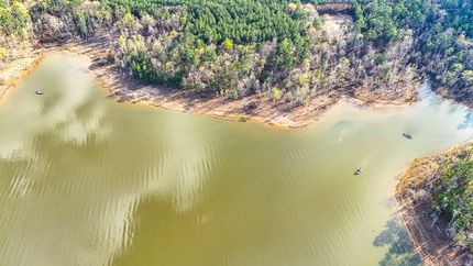 Undeveloped Land in San Augustine County, Texas