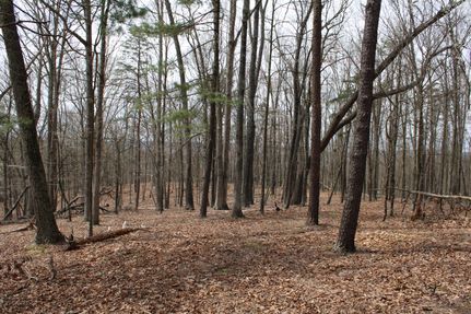 Undeveloped Land in Hampshire County, West Virginia