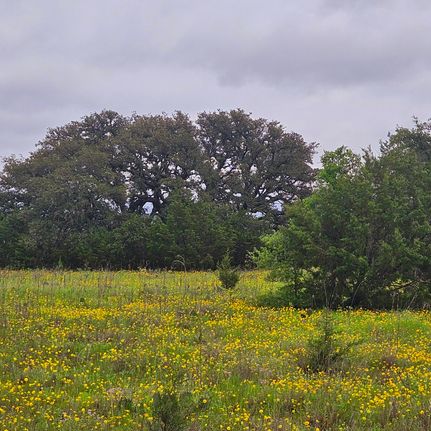 Undeveloped Land in Bosque County, Texas