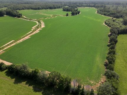 Farm and Ranch in Monroe County, Mississippi