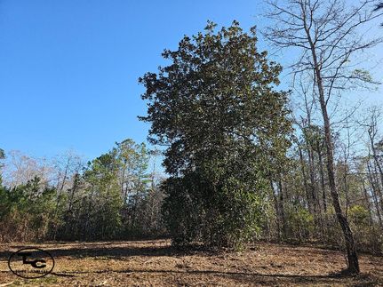 Farm and Ranch in Butler County, Alabama
