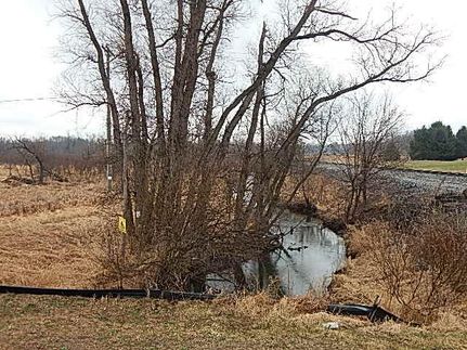 Undeveloped Land in Eaton County, Michigan