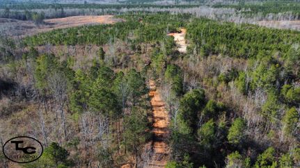 Farm and Ranch in Sumter County, Alabama