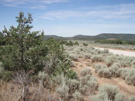 Riverfront Property in San Juan County, New Mexico