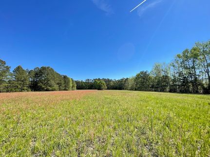 Farm and Ranch in Horry County, South Carolina