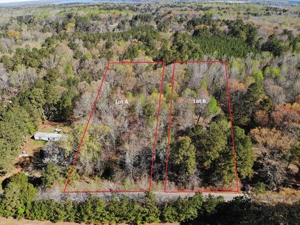 Undeveloped Land in Surry County, Virginia