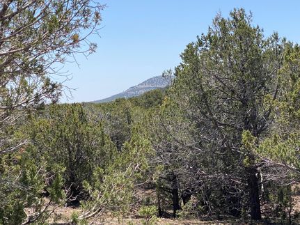 Farm and Ranch in Coconino County, Arizona
