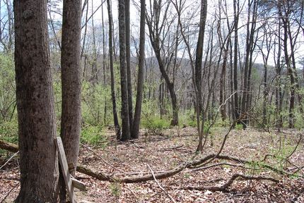 Undeveloped Land in Morgan County, West Virginia