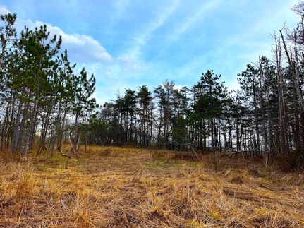 Undeveloped Land in Chautauqua County, New York