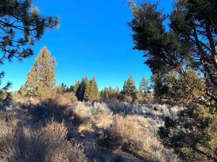 Undeveloped Land in Klamath County, Oregon