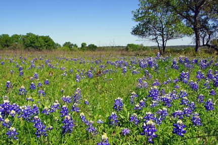 Recreational Property in Burnet County, Texas