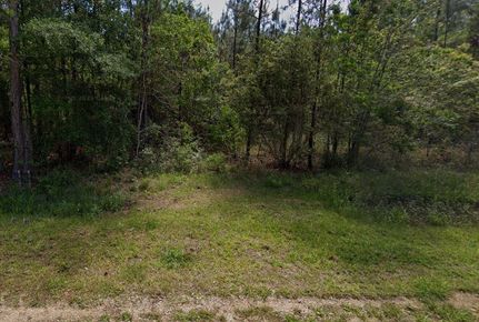 Undeveloped Land in Hancock County, Mississippi