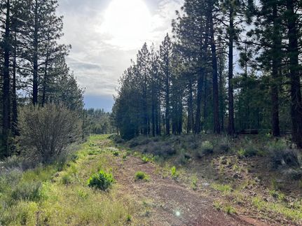 Undeveloped Land in Modoc County, California