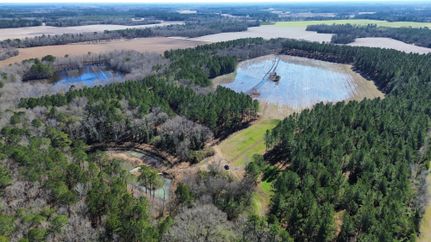 Farm and Ranch in Clarendon County, South Carolina