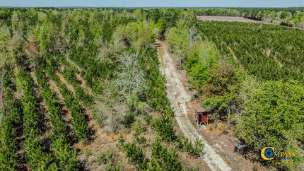Farm and Ranch in Orangeburg County, South Carolina