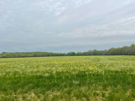 Commercial Property in Polk County, Georgia