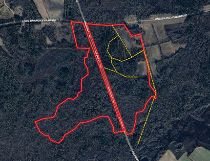 Timberland Property in Horry County, South Carolina