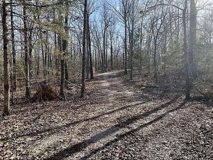 Undeveloped Land in Howell County, Missouri
