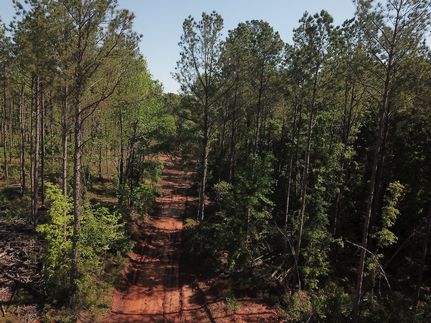 Recreational Property in Union Parish, Louisiana